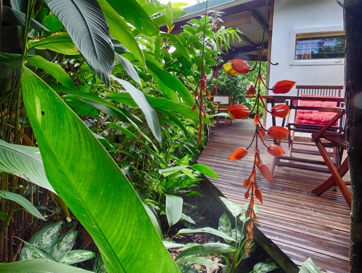Le Parc Aux Orchidees Villa Pointe-Noire Exterior photo